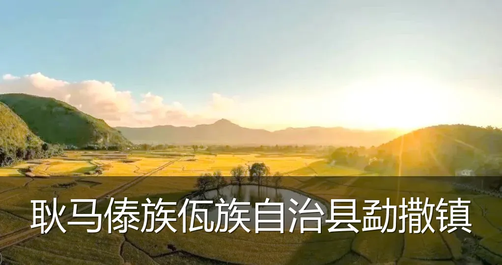 耿马傣族佤族自治县勐撒镇