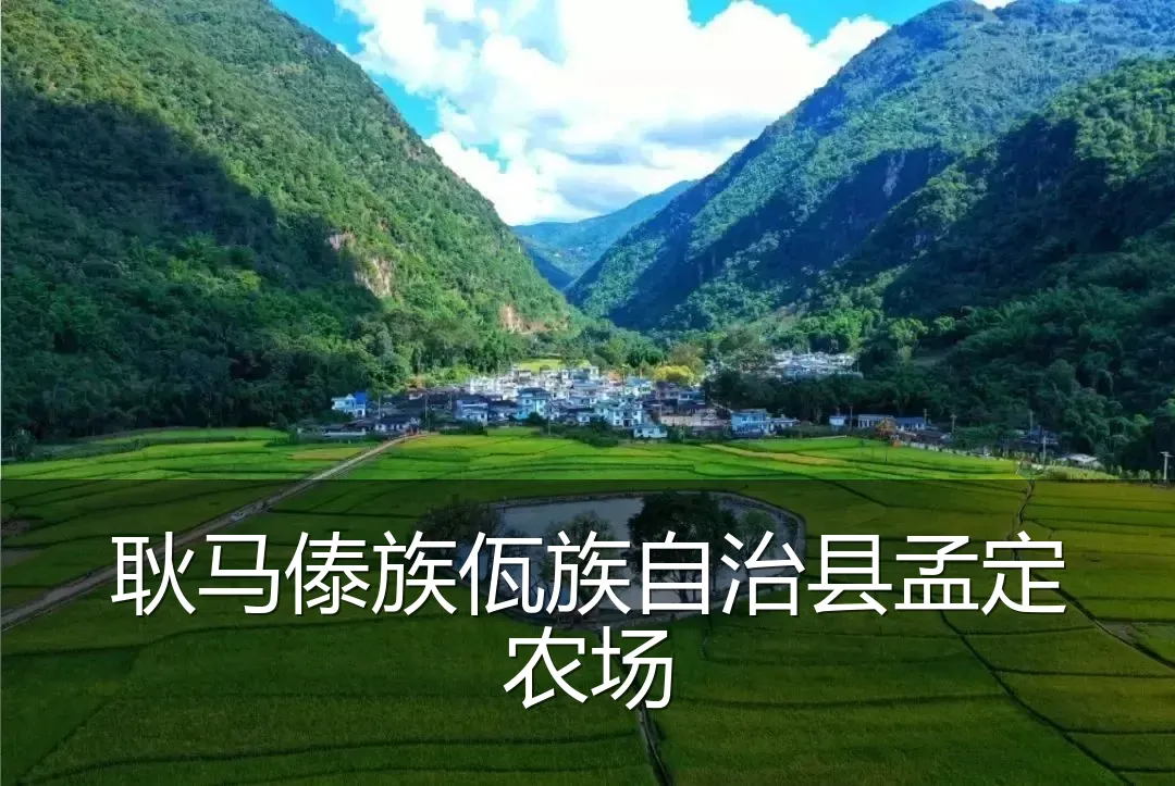 耿马傣族佤族自治县孟定农场